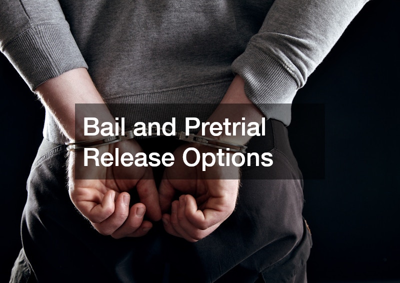 Bail and Pretrial Release Options